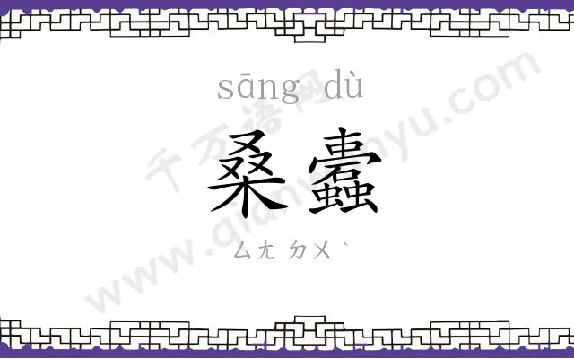 桑蠹