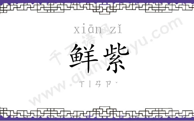 鲜紫
