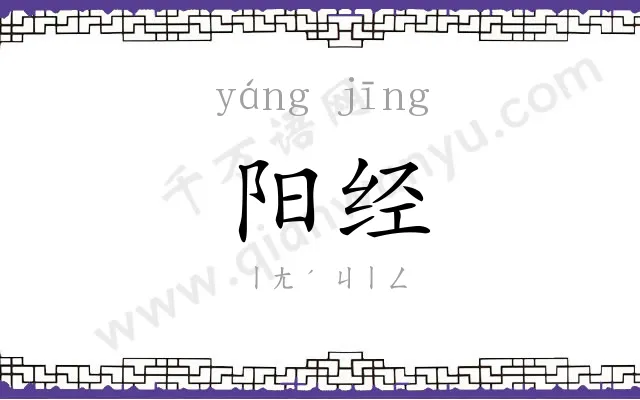 阳经