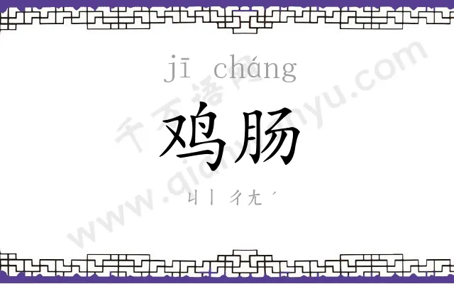 鸡肠