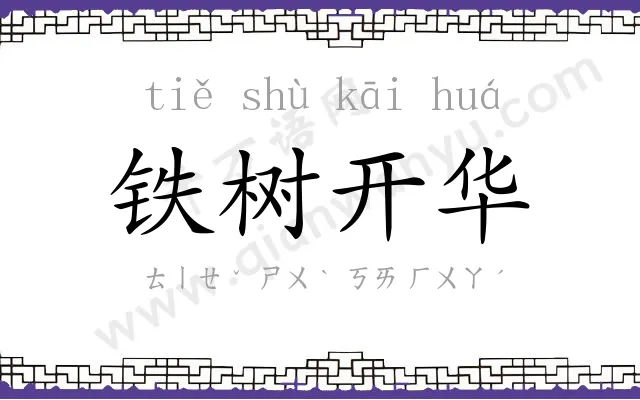 铁树开华