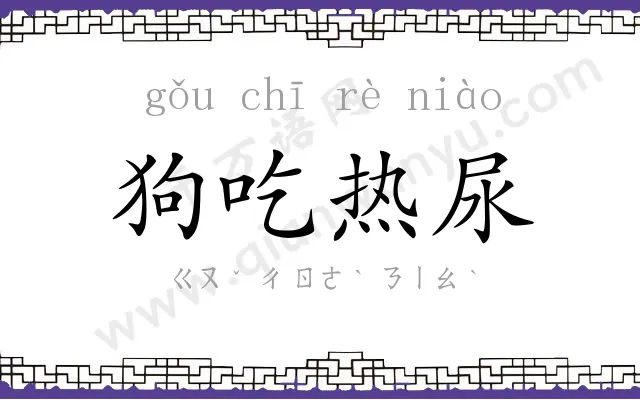 狗吃热尿