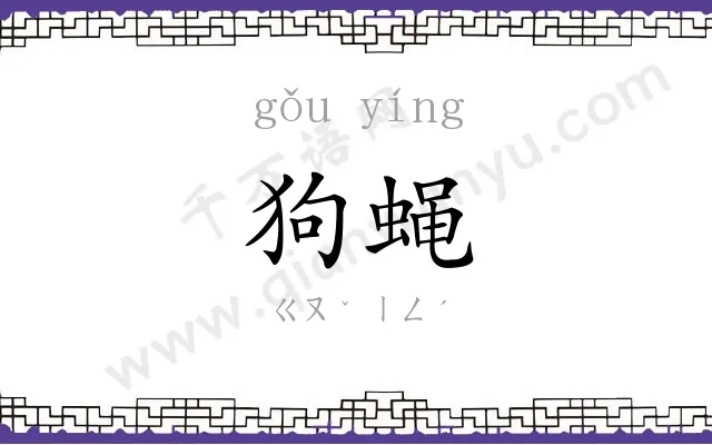 狗蝇