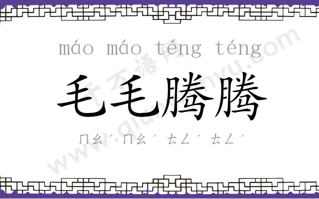 毛毛腾腾