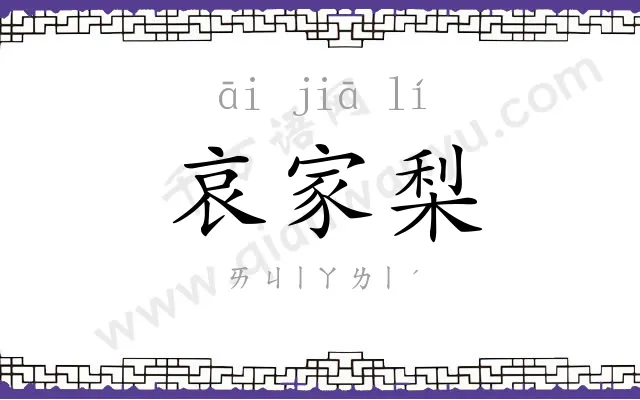 哀家梨