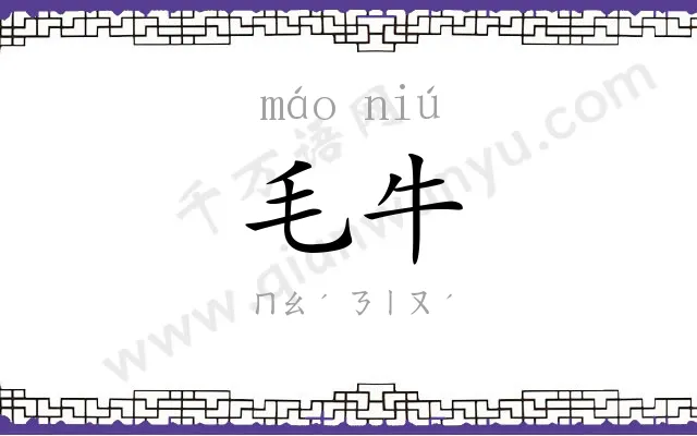 毛牛