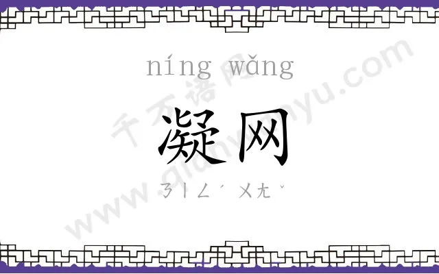 凝网