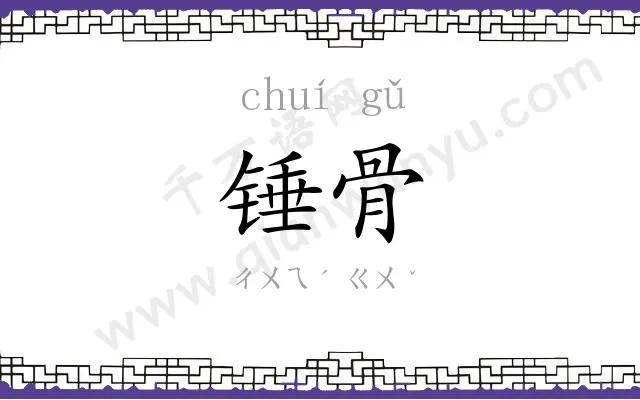 锤骨