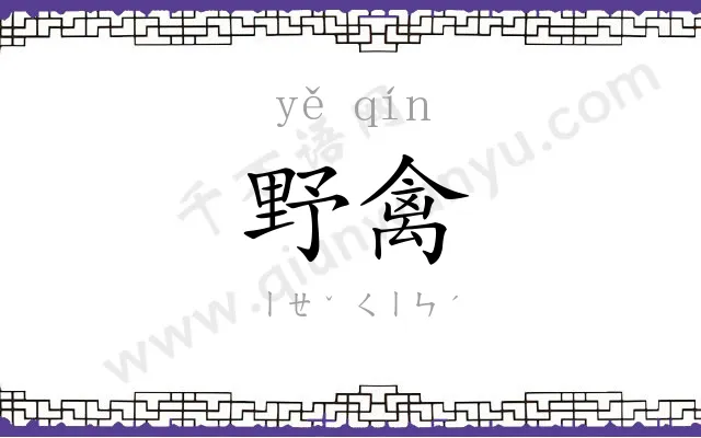 野禽