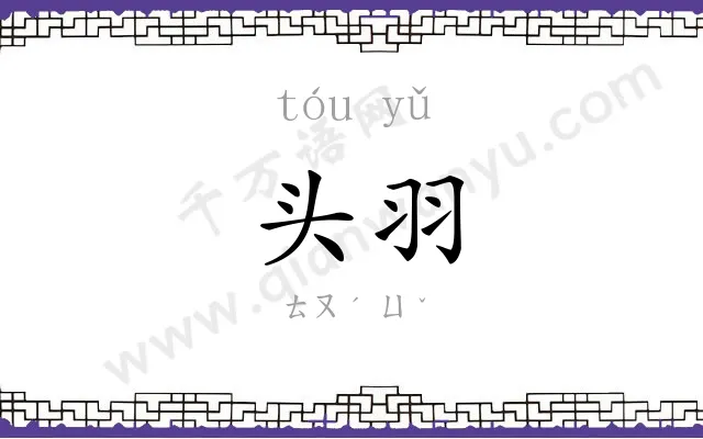 头羽