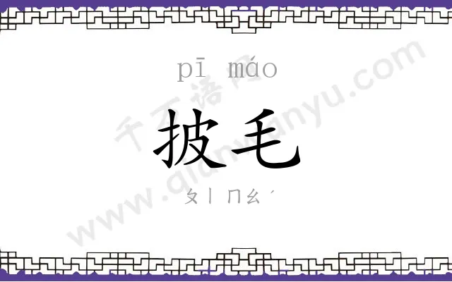 披毛