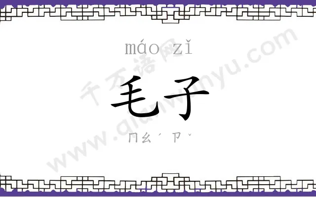 毛子