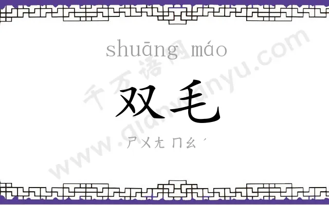 双毛