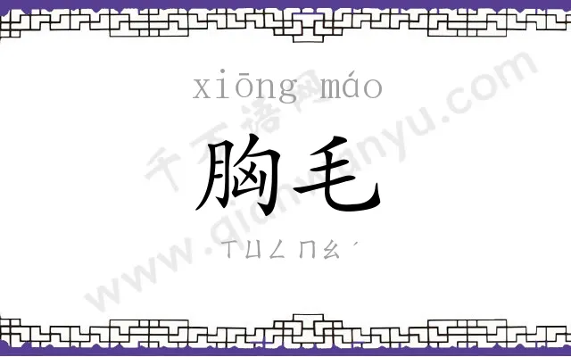 胸毛