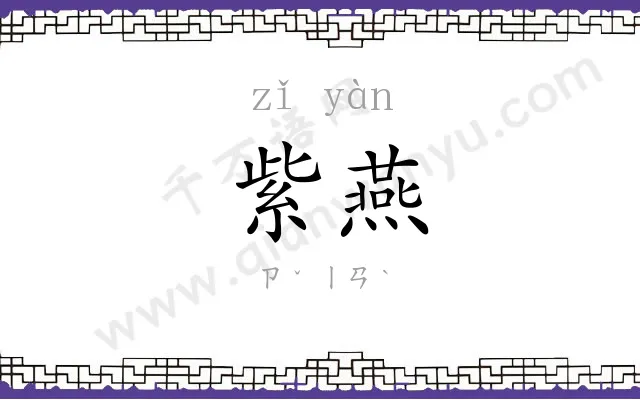 紫燕