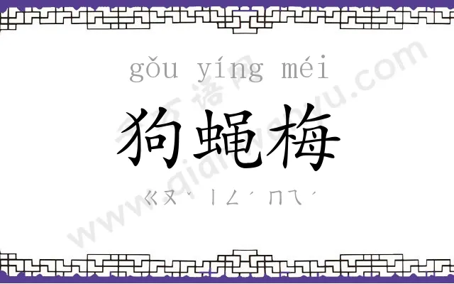 狗蝇梅