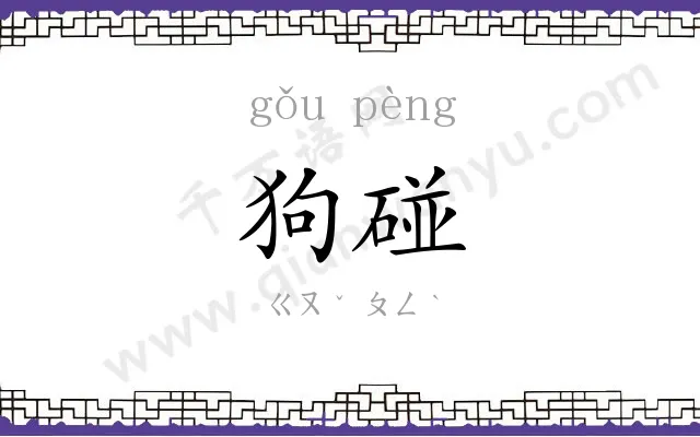 狗碰