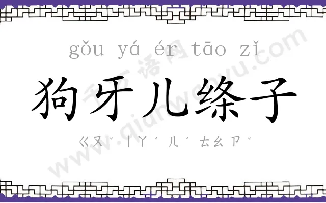 狗牙儿绦子