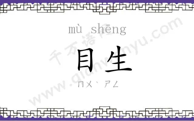 目生