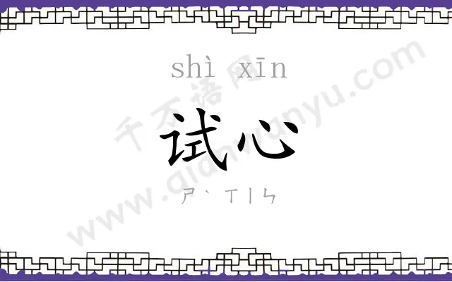 试心