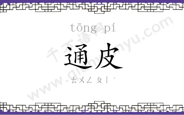 通皮