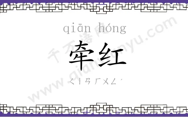 牵红