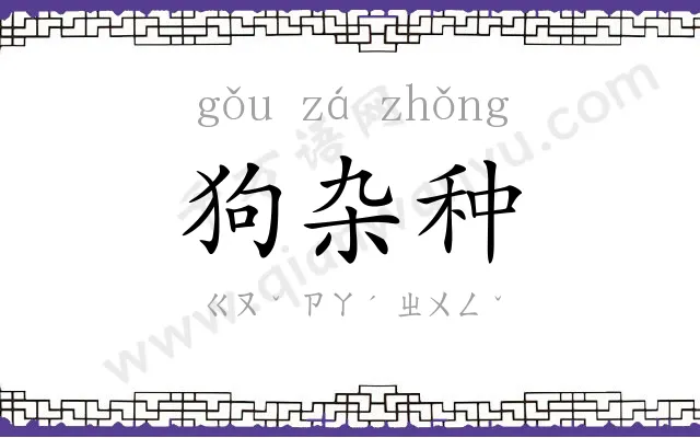 狗杂种