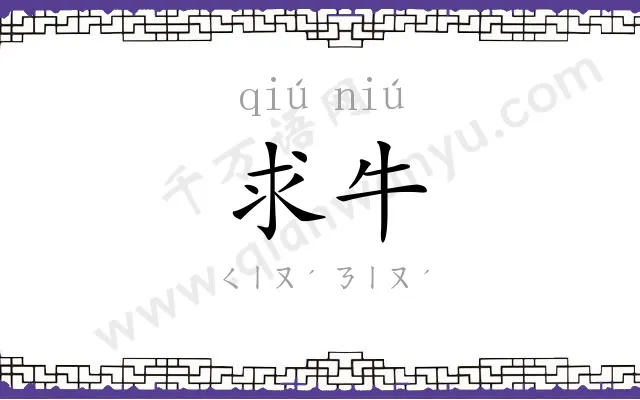求牛