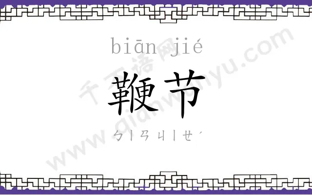 鞭节