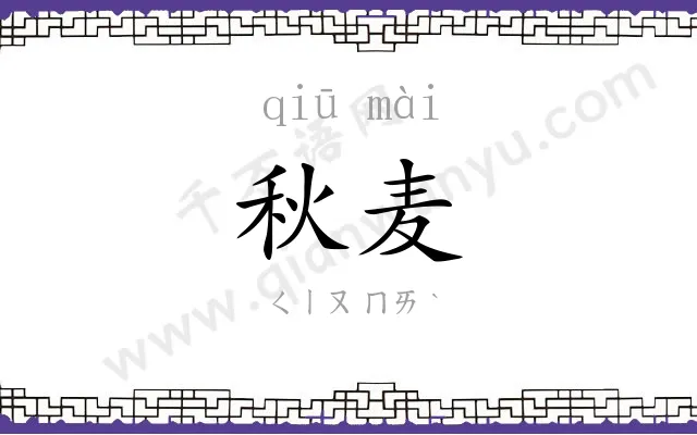 秋麦