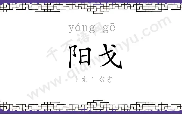阳戈