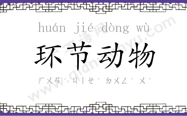 环节动物