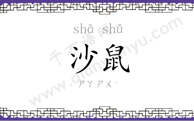 沙鼠
