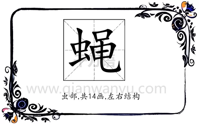 蝇