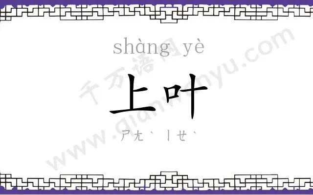 上叶