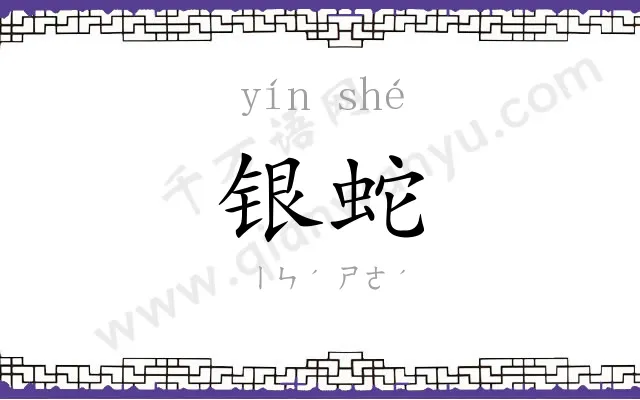 银蛇
