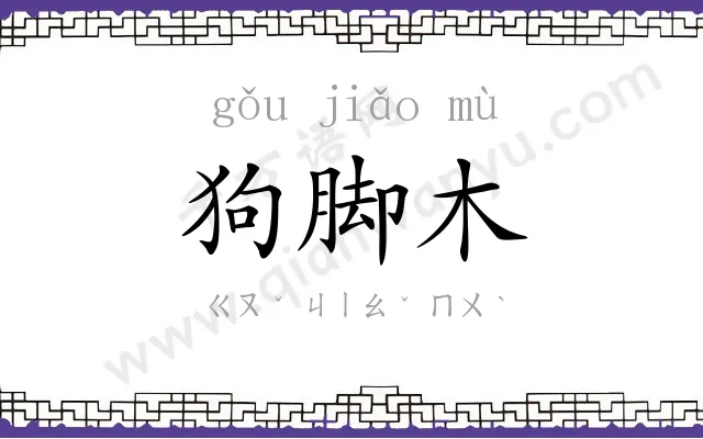 狗脚木