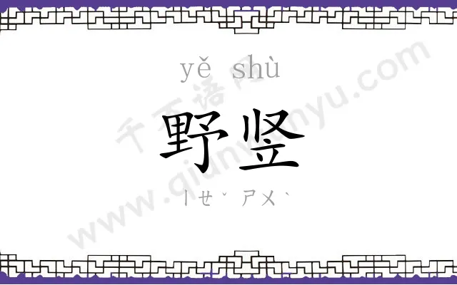 野竖