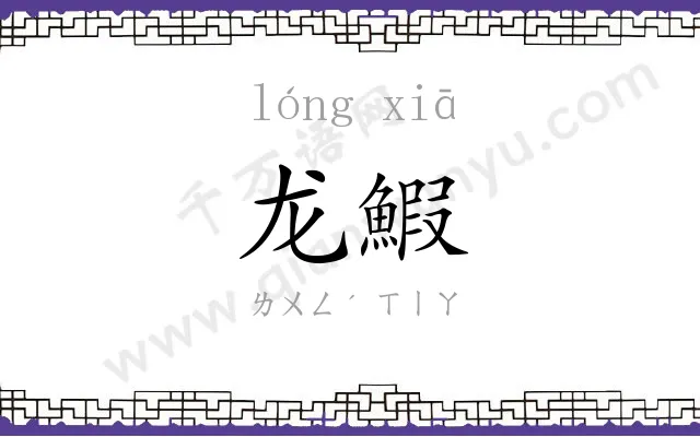 龙鰕