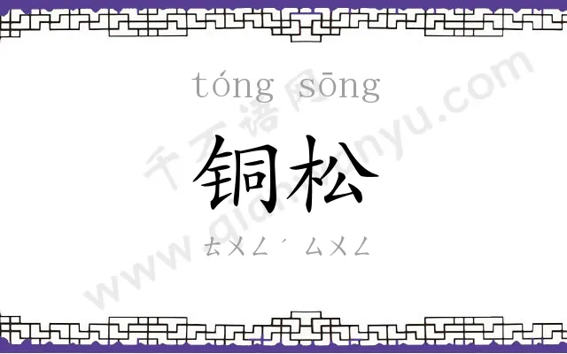 铜松