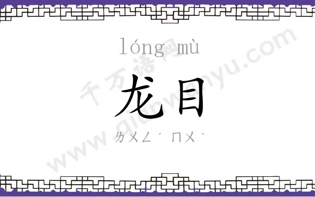龙目