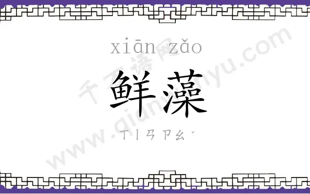 鲜藻