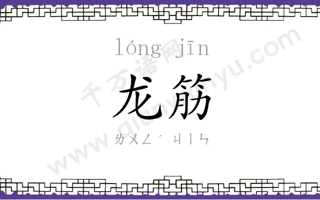 龙筋
