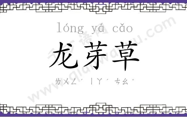 龙芽草