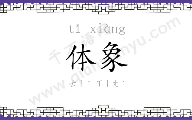 体象