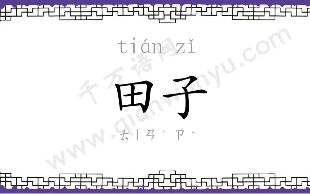 田子