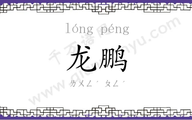 龙鹏