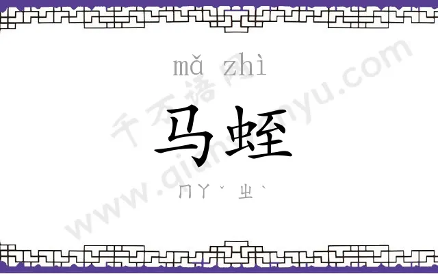 马蛭