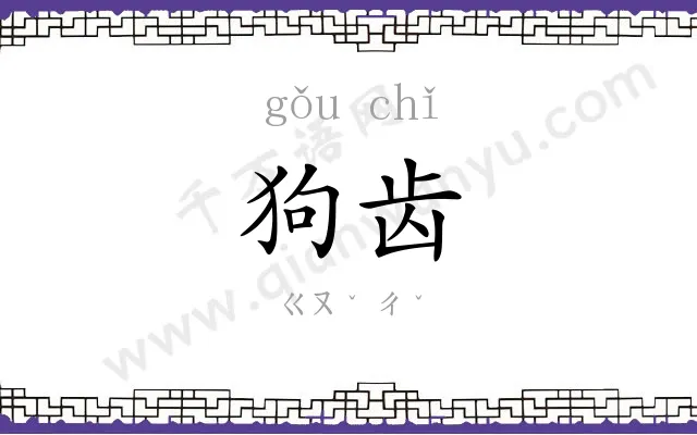 狗齿