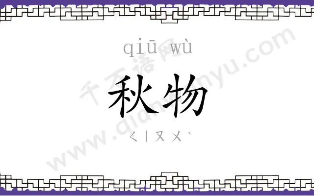 秋物